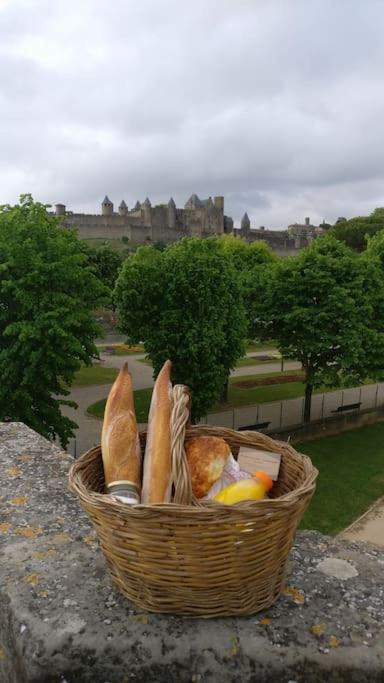 Appartement Carcassonnais Avec Parking Carcassonne Eksteriør billede